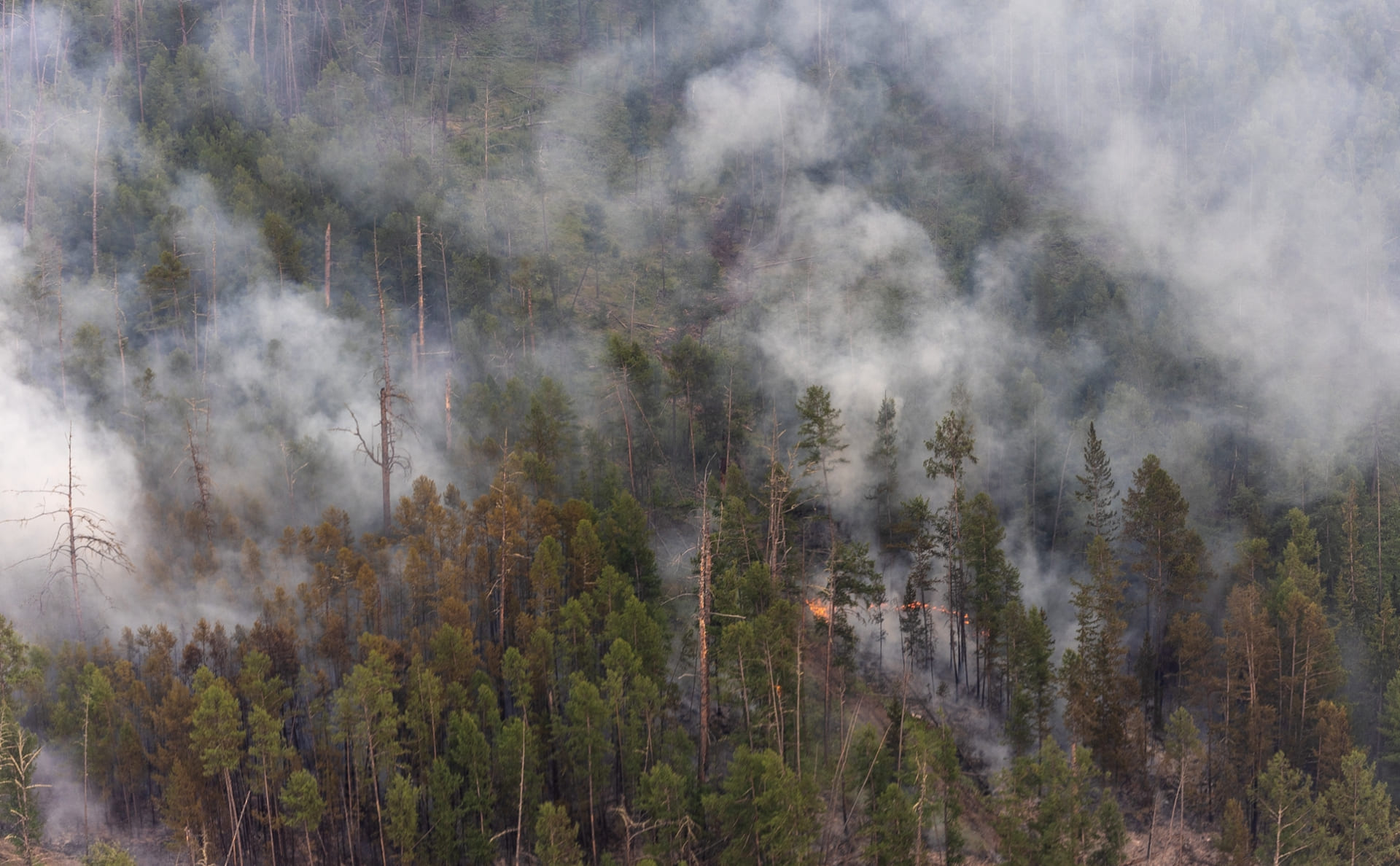 Эксперты: федеральный режим ЧС поможет Якутии в тушении лесных пожаров в предстоящую жару