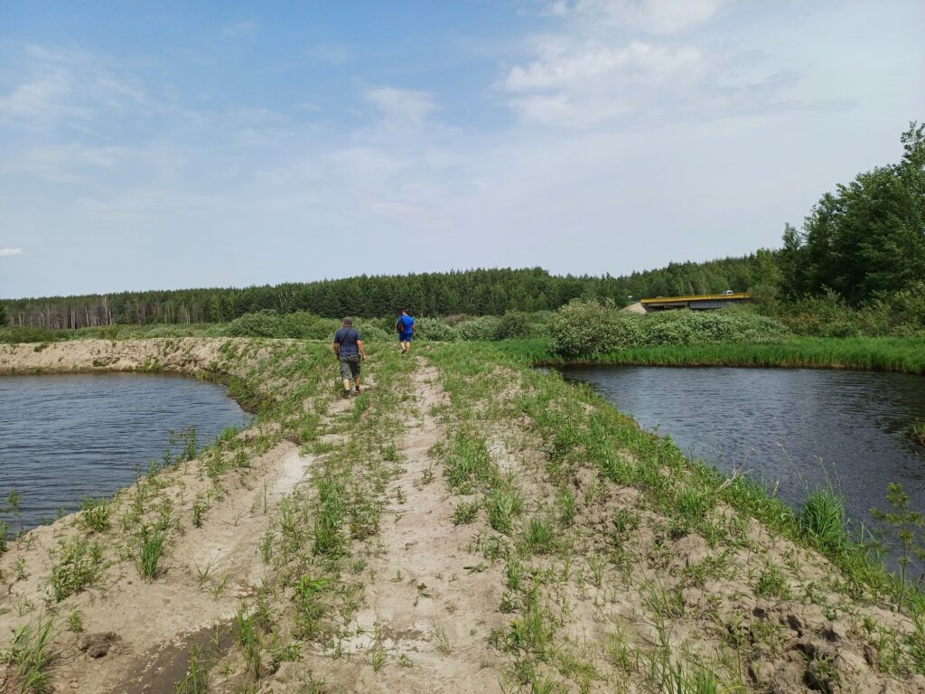 Рязанское региональное отделение Российского экологического общества продолжает работу с обращениями жителей Рязанской области
