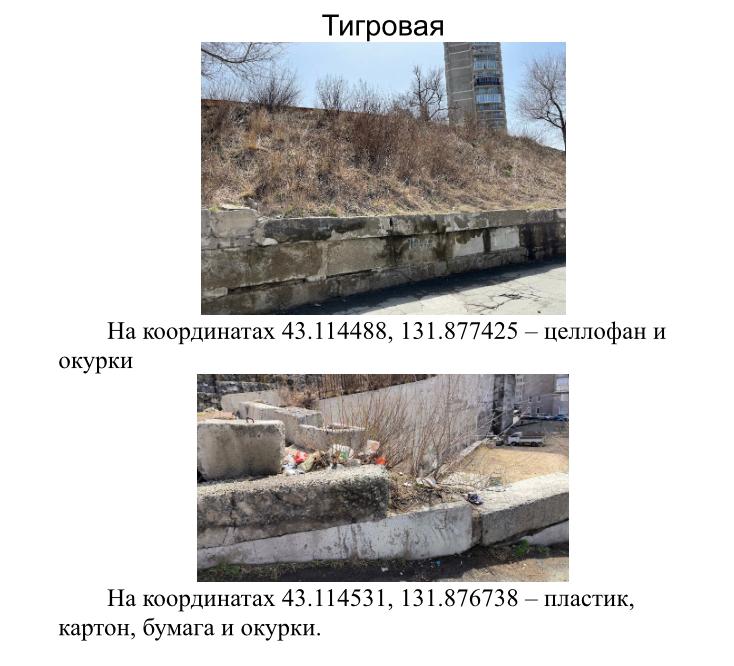 Эксперты Российского экологического общества выявляют негельные места складирования отходов во Владивостоке