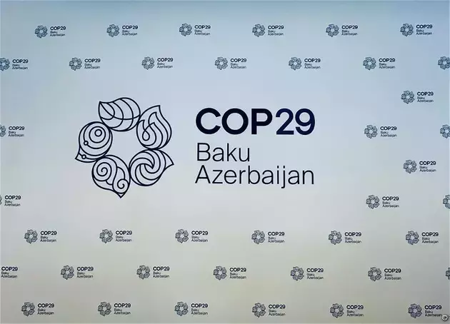 На COP-29 представят опыт российского неправительственного сектора по климатической адаптации